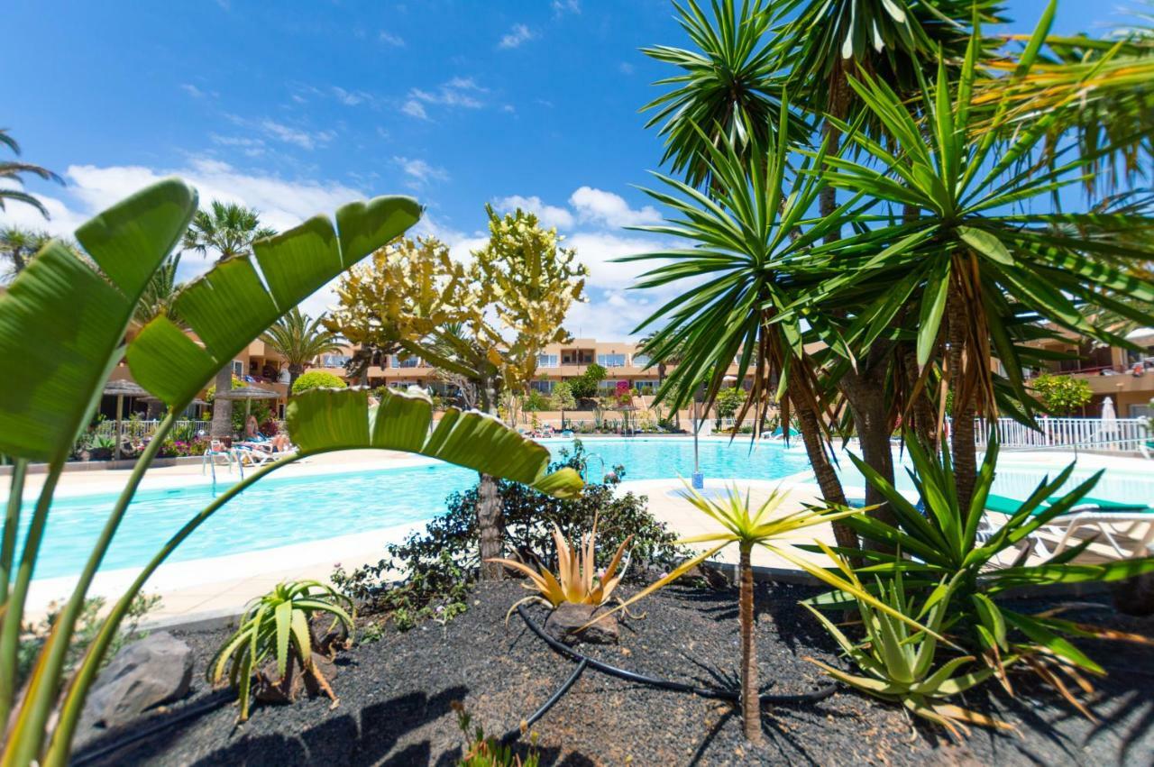 AlicesBungalowPoolView Corralejo Zewnętrze zdjęcie